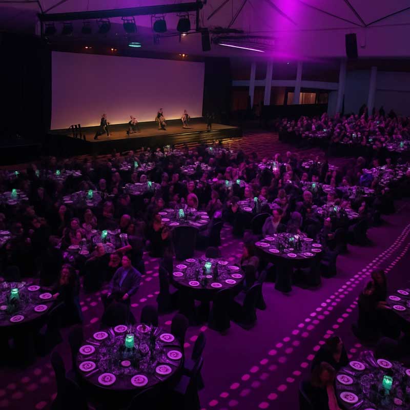 Event entertainment performers on stage at a corporate gala.