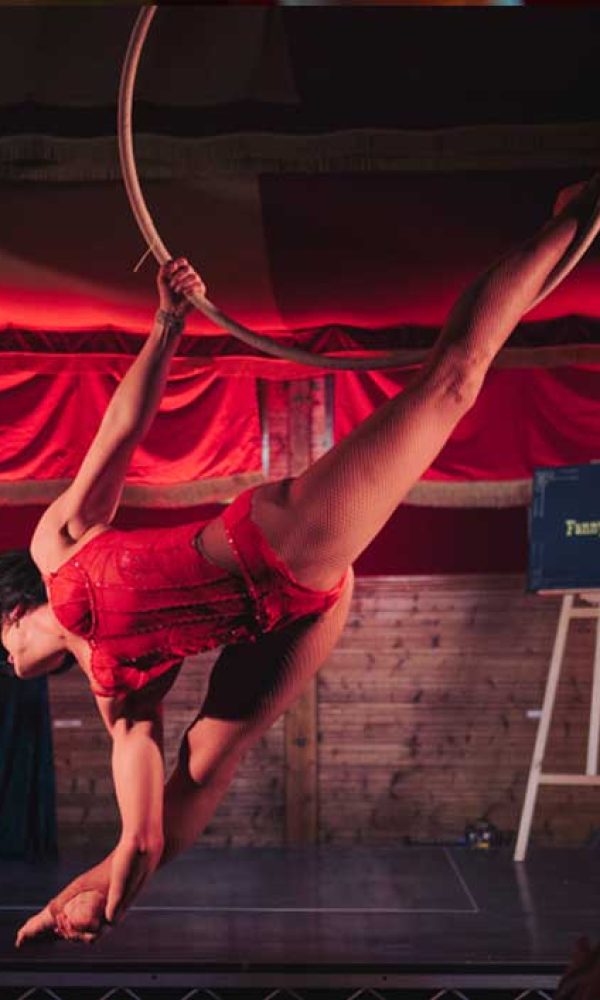 Kylie-Aerial-Hoop