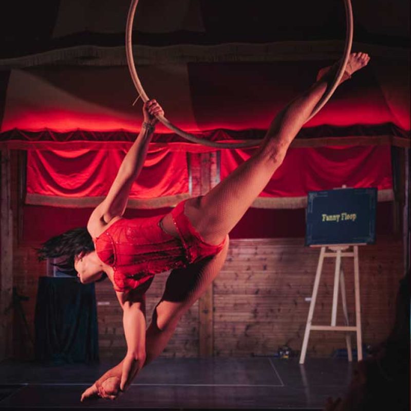 Kylie-Aerial-Hoop