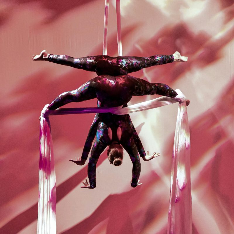 pexels-that-photoguy-matt-277045955-13990509