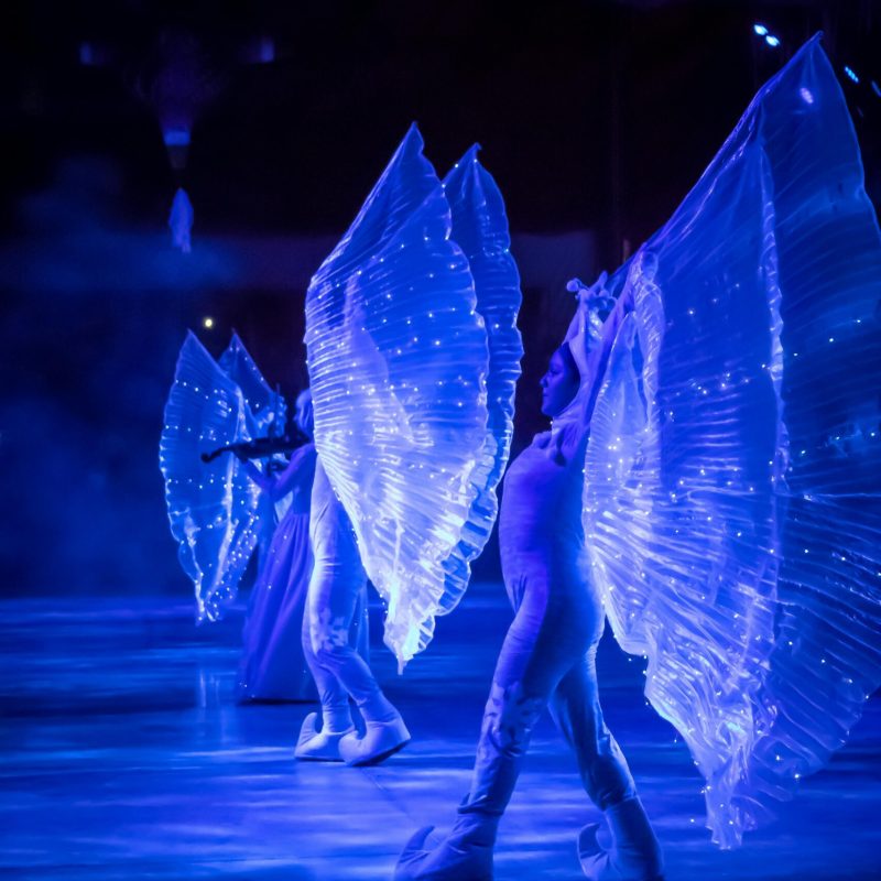 roving performers Sydney